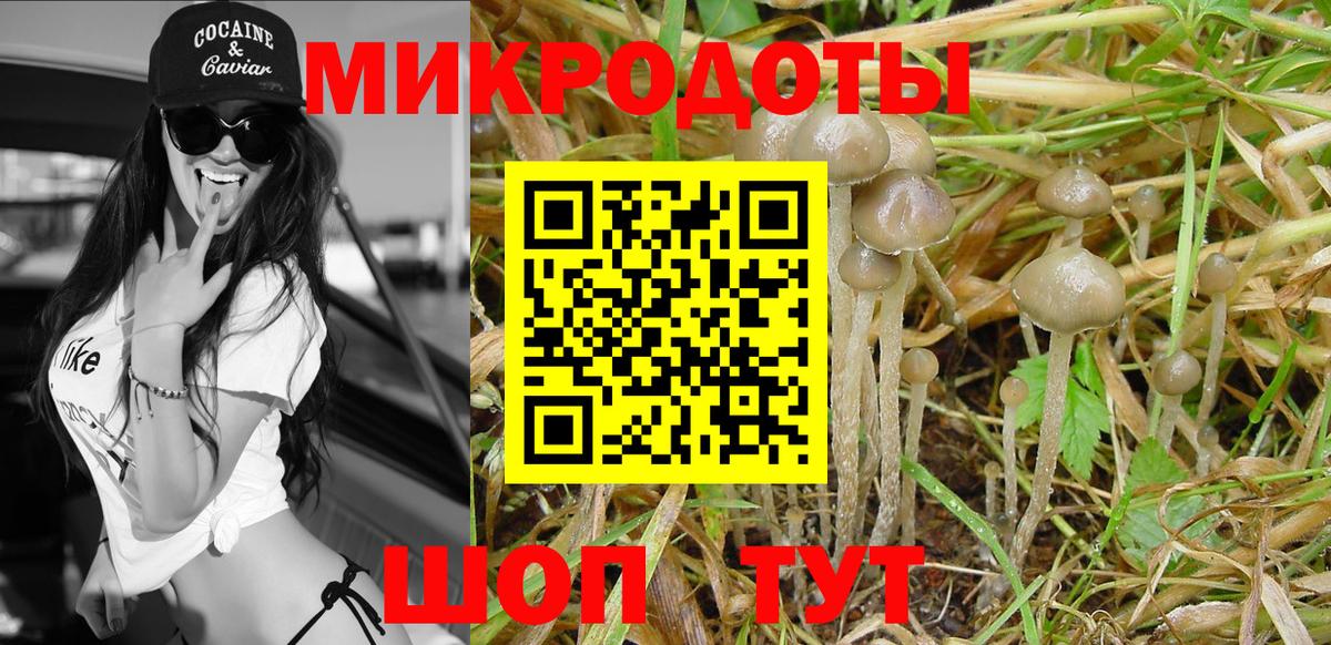 Клин  Галлюциногенные грибы Psilocybe  наркота  Вход с VPN 