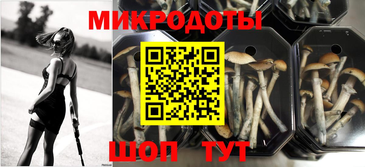 Галлюциногенные грибы Psilocybe Клин